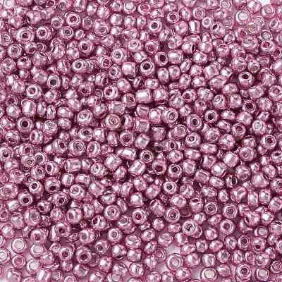 8/0 Glass Seed Beads SEED-A017-3mm-1110-1