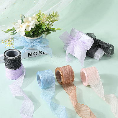 Polyester Pleated Ribbons SRIB-WH20020-005F-1