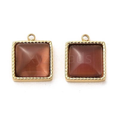 304 Stainless Steel Charms STAS-L022-075G-1
