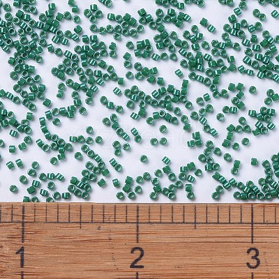 MIYUKI Delica Beads SEED-MY11-DB0656-1