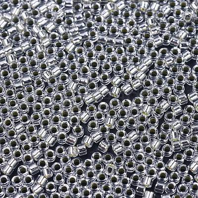MIYUKI Delica Beads SEED-MY11-DB0041-1