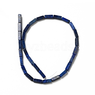 Natural Lapis Lazuli Beads Strands G-I326-04-1