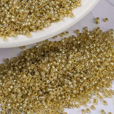 MIYUKI Round Rocailles Beads SEED-G009-RR0578-1