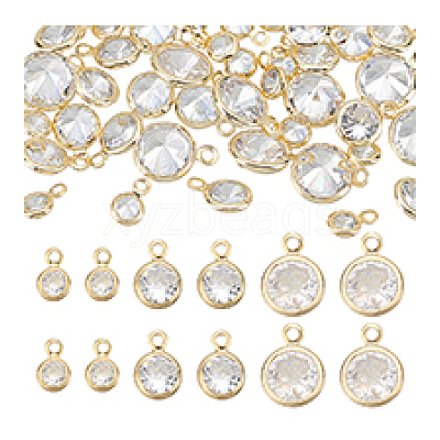 50Pcs Alloy Micro Pave Cubic Zirconia Charms FIND-PH0023-64G-1
