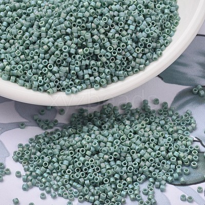 MIYUKI Delica Beads SEED-X0054-DB2313-1