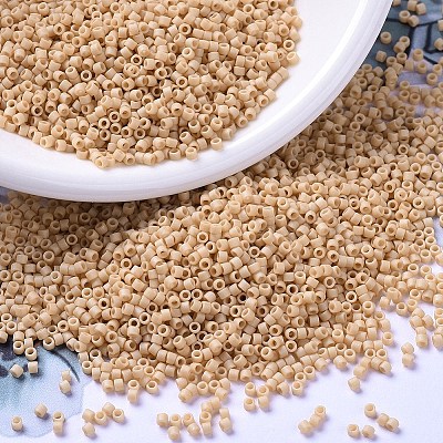 MIYUKI Delica Beads LS-X-SEED-J020-DB0389-1