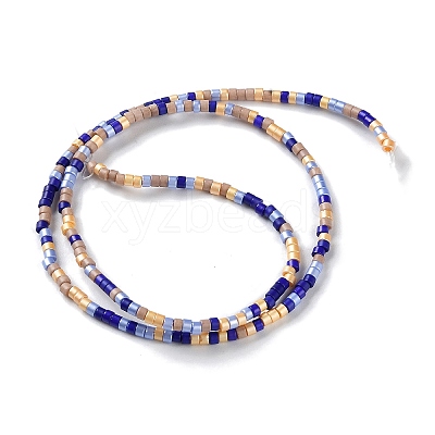 Handmade Lampwork Beads Strands LAMP-L078-008G-1
