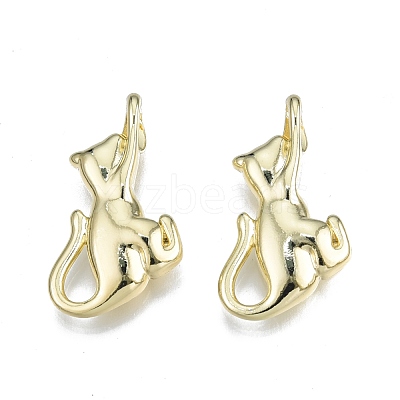 Rack Plating Alloy Pendants PALLOY-N150-62LG-1