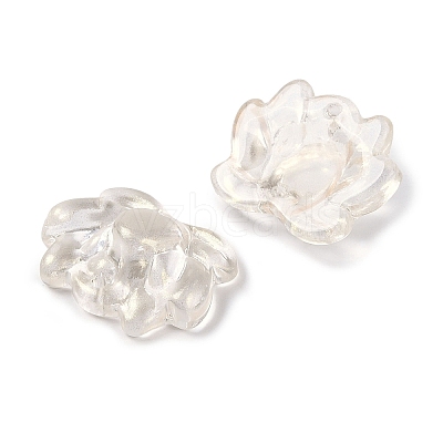 Baking Paint Glass Beads GLAA-S202-13F-1