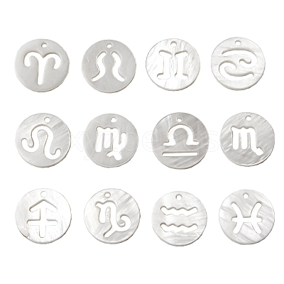 Natural Freshwater Shell Charms SHEL-CJ0002-01-1