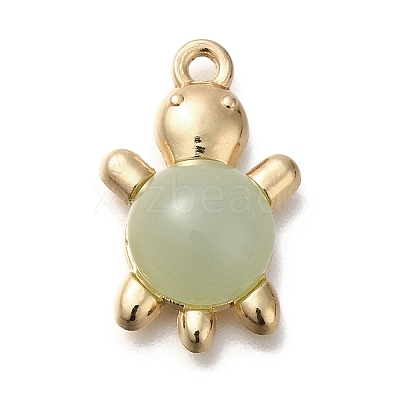 Acrylic Alloy Pendants LS-FIND-M041-03B-1