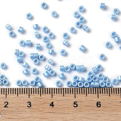 Baking Paint Glass Seed Beads X-SEED-S042-15A-11-1