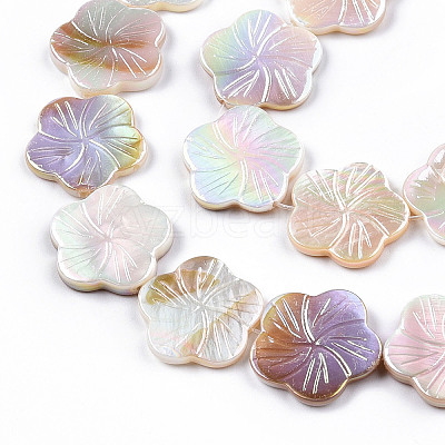 Electroplated Natural Freshwater Shell Beads Strands X-SHEL-N026-203B-01-1