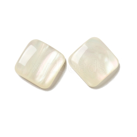 Resin Cabochons CRES-D003-01-1