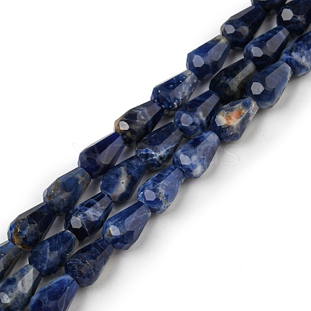 Natural Sodalite Beads Strands G-C080-B05-01-1