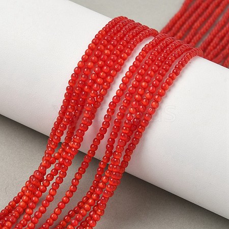 Cat Eye Beads Strands CE-C007-A05-2mm-1