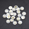 Shell Cabochons SSHEL-E568-A09-2