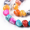 Natural Trochid Shell/Trochus Shell Beads Strands SSHEL-N032-56-3