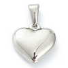 304 Stainless Steel Pendants X-STAS-P278-01Y-P-2