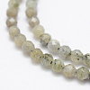 Natural Labradorite Beads Strands G-P322-28-4mm-3