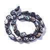 Natural Abalone Shell/Paua Shell Beads Strands SSHEL-F303-08B-2