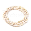 Electroplate Opaque Solid Color Glass Beads Strands EGLA-G036-B-FR03-2