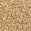 MIYUKI Delica Beads SEED-X0054-DB0099-3