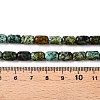 Natural African Turquoise(Jasper) Beads Strands G-G980-33A-5