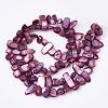 Freshwater Shell Beads Strands SHEL-S274-40G-2