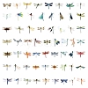 Original Dragonfly Graffiti Stickers 50Pcs Cute Insect Decorations For Cars Gift Box Shop Windows Glass Waterproof Die-Cut Stickers PW-WGFA9F4-01-1