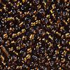 6/0 Glass Seed Beads X2-SEED-A005-4mm-53-2
