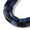 Natural Sodalite Beads Strands G-C128-A25-01-3