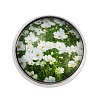 Round Glass Brooches JEWB-A022-02D-1