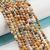 Natural Crazy Lace Agate Beads Strands G-A129-3mm-17-4