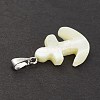 Natural Trochid Shell/Trochus Shell Pendants SSHEL-K027-13-3