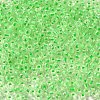 6/0 Transparent Glass Seed Beads SEED-F003-03A-13-3