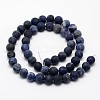 Natural Sodalite Beads Strands G-D682-4mm-2