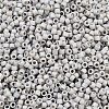 MIYUKI Delica Beads X-SEED-J020-DB2320-2
