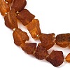 Raw Rough Natural Amber Beads Strands G-B125-C01-01-4