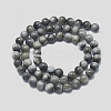 Natural Eagle Eye Beads Strands G-I281-02-4mm-3