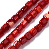 Natural Trochid Shell/Trochus Shell Bead Strands SSHEL-N034-77-C02-1