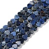 Natural Sodalite Beads Strands G-M403-A08-01-1