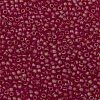 TOHO Round Seed Beads SEED-TR11-0165BF-2