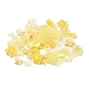 Luminous Resin Decoden Cabochons RESI-K036-05C-1