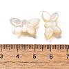 Natural White Shell Beads BSHE-Z008-02-4