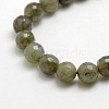 Natural Gemstone Labradorite Faceted Round Bead Strands G-O021-6mm-01-2