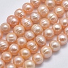 Natural Cultured Freshwater Pearl Beads Strands PEAR-F007-06-01-2