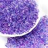 Spray Painted Glass Seed Beads SEED-T007-08F-3