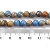 Dyed Natural Regalite/Imperial Jasper/Sea Sediment Jasper Beads Strands G-B124-C02-15-3