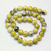 Natural Yellow Turquoise(Jasper) Beads Strands GSR10mmC007-3